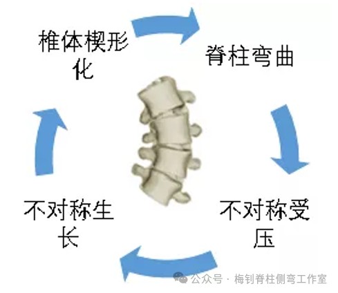 脊柱侧弯保守治疗培训班